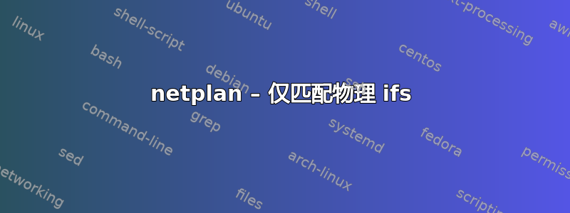 netplan – 仅匹配物理 ifs