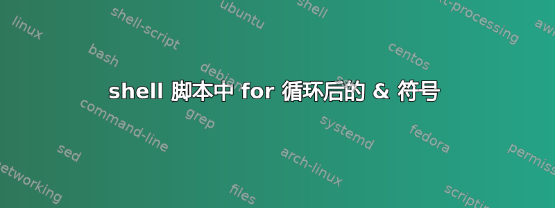 shell 脚本中 for 循环后的 & 符号