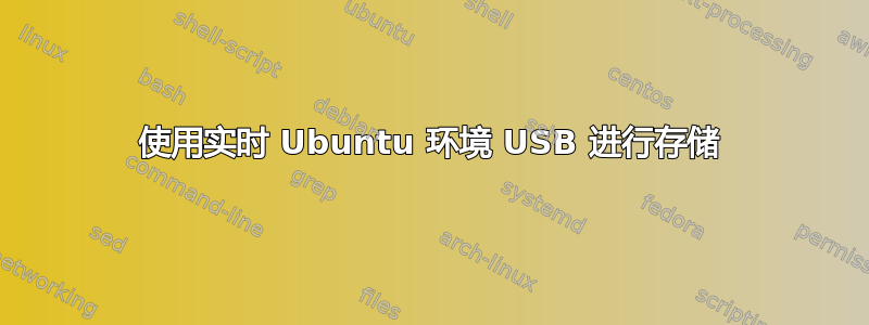 使用实时 Ubuntu 环境 USB 进行存储