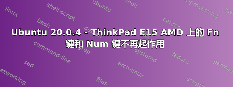 Ubuntu 20.0.4 - ThinkPad E15 AMD 上的 Fn 键和 Num 键不再起作用