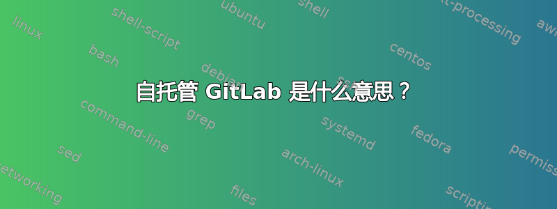 自托管 GitLab 是什么意思？