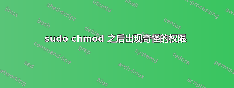 sudo chmod 之后出现奇怪的权限