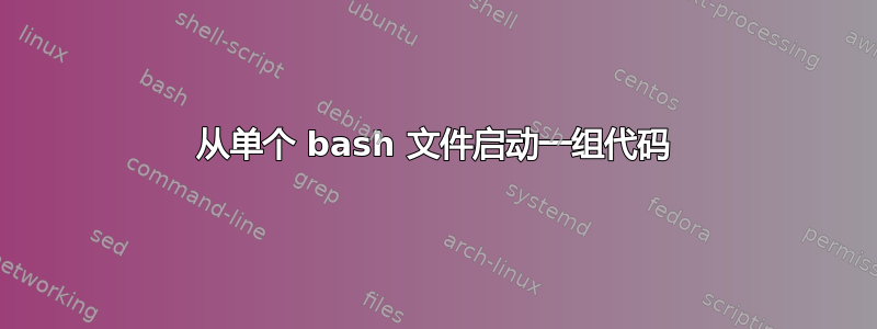 从单个 bash 文件启动一组代码