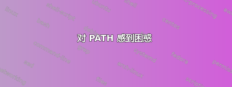 对 PATH 感到困惑