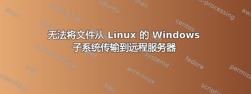 无法将文件从 Linux 的 Windows 子系统传输到远程服务器