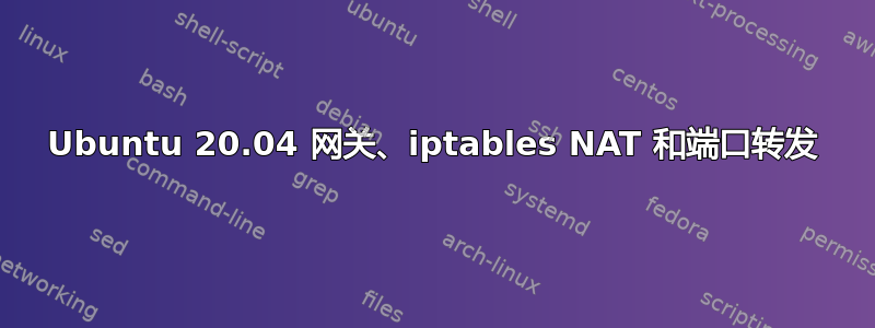 Ubuntu 20.04 网关、iptables NAT 和端口转发