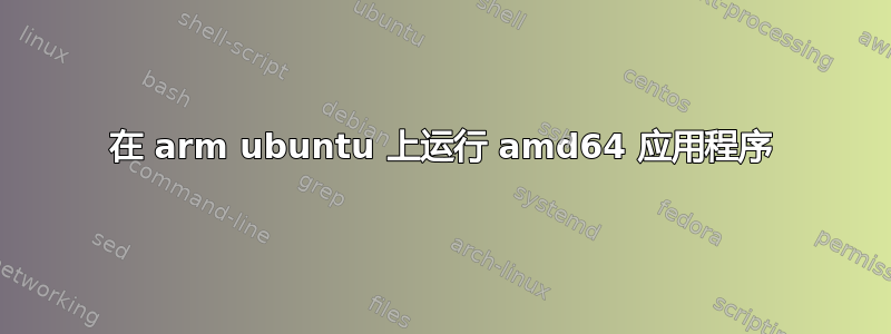 在 arm ubuntu 上运行 amd64 应用程序