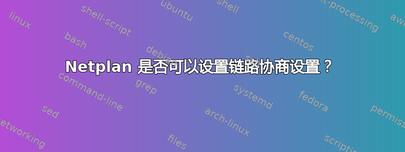 Netplan 是否可以设置链路协商设置？