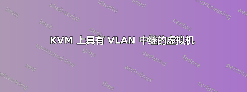 KVM 上具有 VLAN 中继的虚拟机