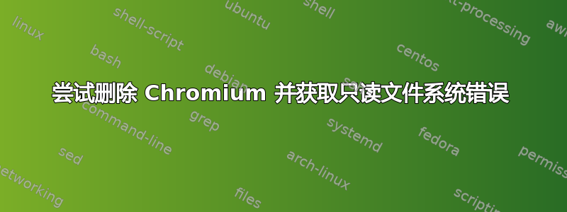 尝试删除 Chromium 并获取只读文件系统错误