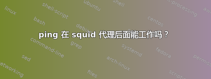 ping 在 squid 代理后面能工作吗？