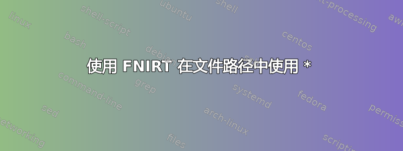 使用 FNIRT 在文件路径中使用 *