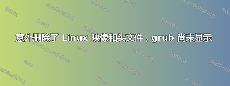 意外删除了 Linux 映像和头文件，grub 尚未显示