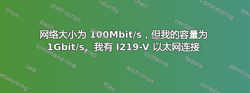 网络大小为 100Mbit/s，但我的容量为 1Gbit/s。我有 I219-V 以太网连接