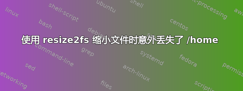 使用 resize2fs 缩小文件时意外丢失了 /home