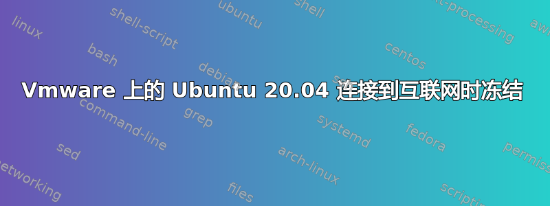 Vmware 上的 Ubuntu 20.04 连接到互联网时冻结