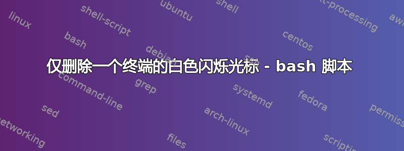 仅删除一个终端的白色闪烁光标 - bash 脚本