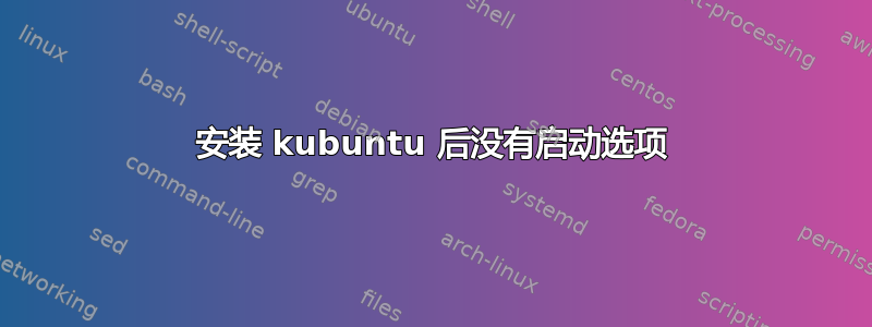 安装 kubuntu 后没有启动选项