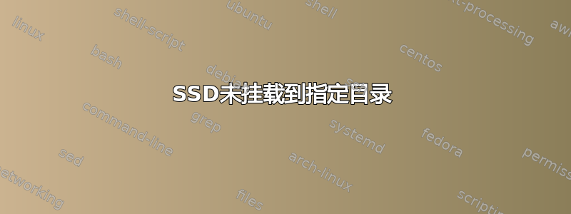 SSD未挂载到指定目录