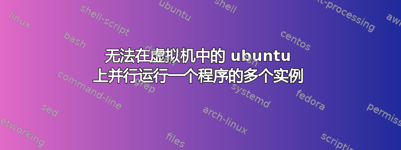 无法在虚拟机中的 ubuntu 上并行运行一个程序的多个实例