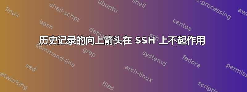 历史记录的向上箭头在 SSH 上不起作用