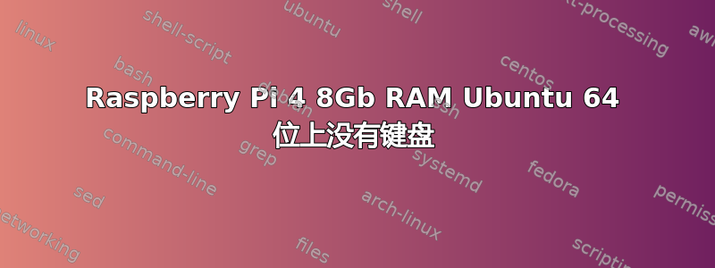 Raspberry Pi 4 8​​Gb RAM Ubuntu 64 位上没有键盘