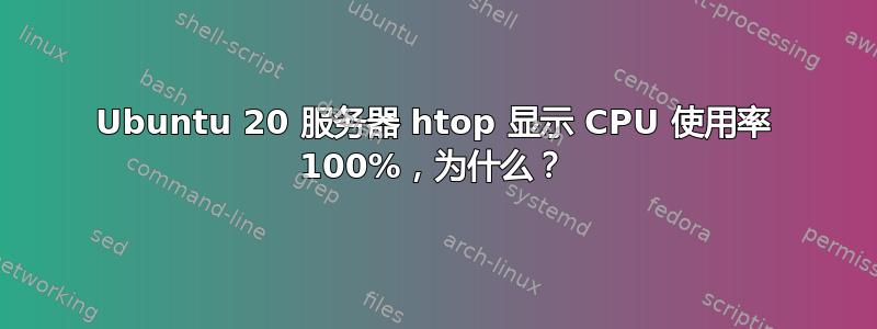 Ubuntu 20 服务器 htop 显示 CPU 使用率 100%，为什么？