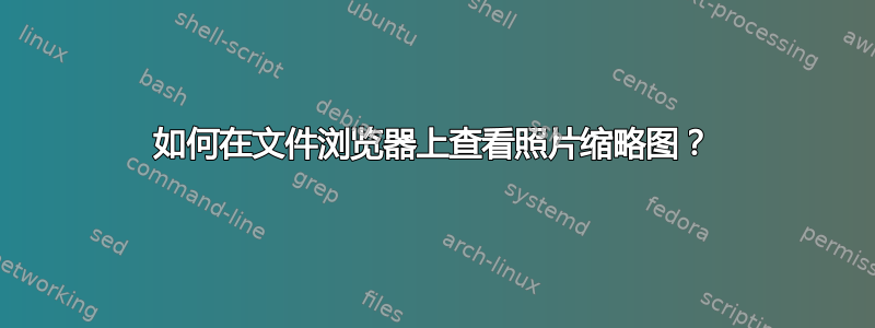 如何在文件浏览器上查看照片缩略图？