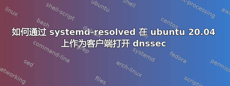 如何通过 systemd-resolved 在 ubuntu 20.04 上作为客户端打开 dnssec