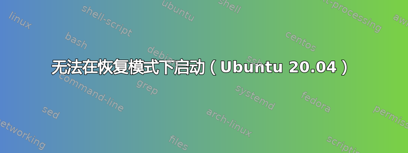 无法在恢复模式下启动（Ubuntu 20.04）