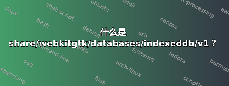 什么是 share/webkitgtk/databases/indexeddb/v1？