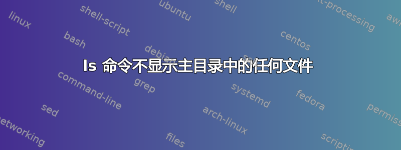 ls 命令不显示主目录中的任何文件