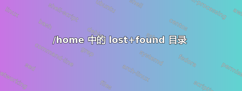 /home 中的 lost+found 目录