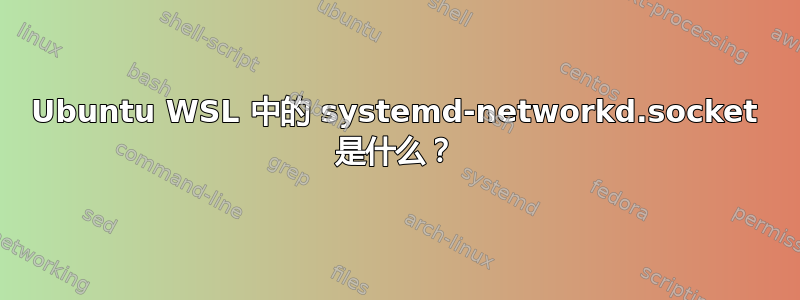 Ubuntu WSL 中的 systemd-networkd.socket 是什么？