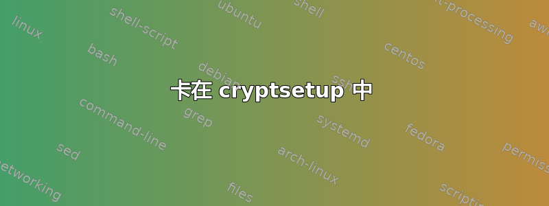 卡在 cryptsetup 中