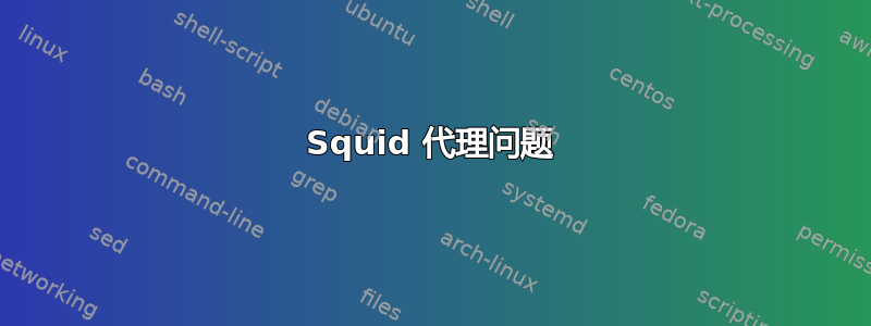 Squid 代理问题