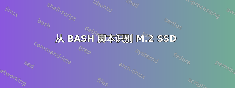 从 BASH 脚本识别 M.2 SSD