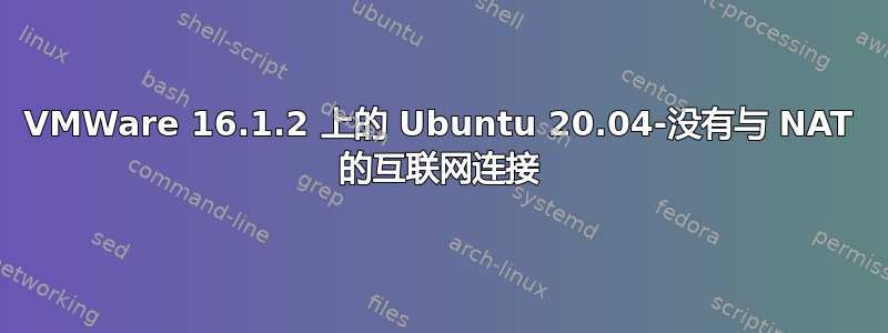 VMWare 16.1.2 上的 Ubuntu 20.04-没有与 NAT 的互联网连接