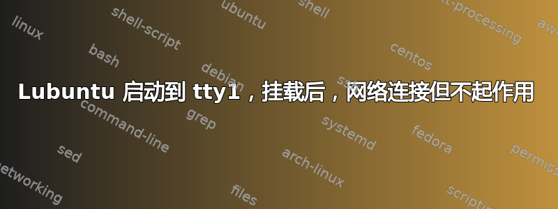 Lubuntu 启动到 tty1，挂载后，网络连接但不起作用