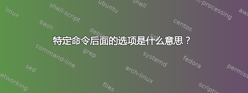 特定命令后面的选项是什么意思？