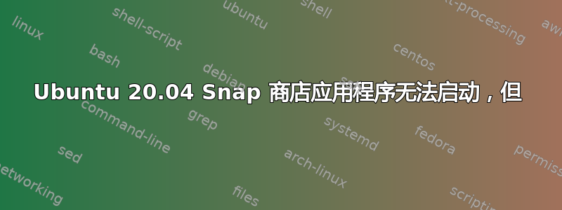 Ubuntu 20.04 Snap 商店应用程序无法启动，但