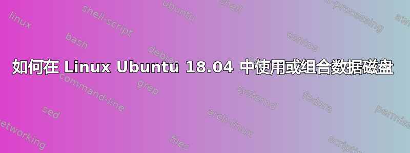 如何在 Linux Ubuntu 18.04 中使用或组合数据磁盘