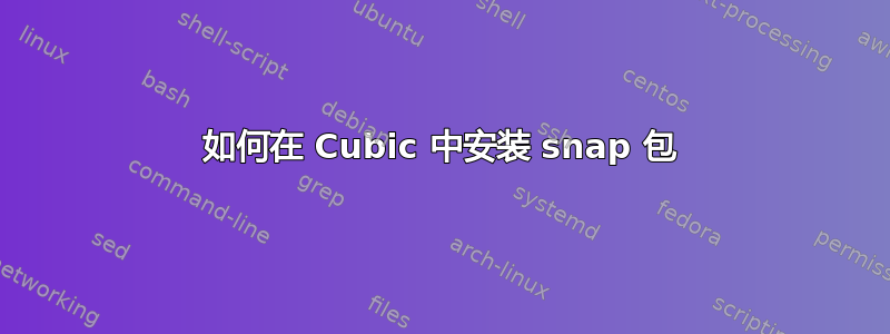 如何在 Cubic 中安装 snap 包