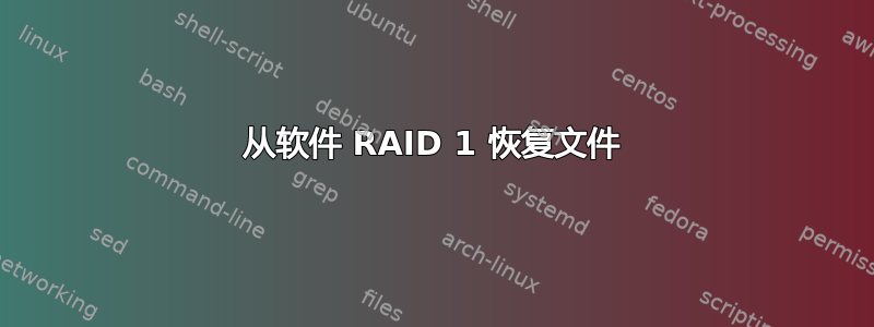 从软件 RAID 1 恢复文件