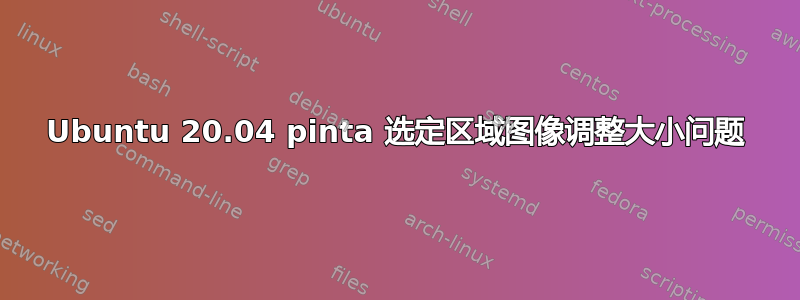 Ubuntu 20.04 pinta 选定区域图像调整大小问题