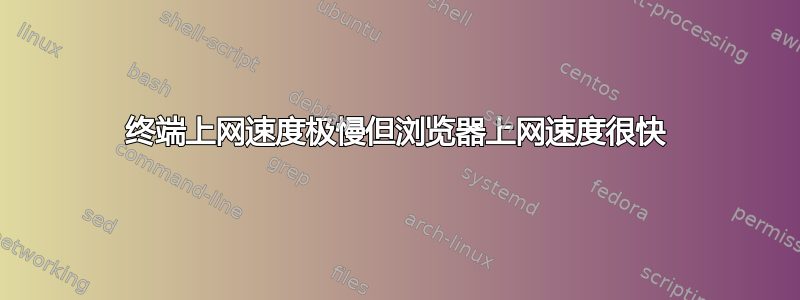 终端上网速度极慢但浏览器上网速度很快