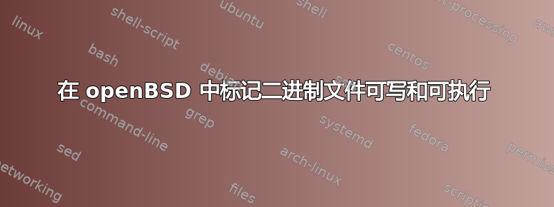 在 openBSD 中标记二进制文件可写和可执行