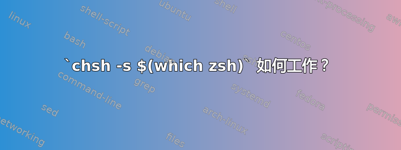 `chsh -s $(which zsh)` 如何工作？