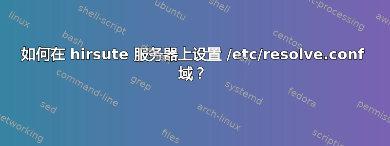 如何在 hirsute 服务器上设置 /etc/resolve.conf 域？