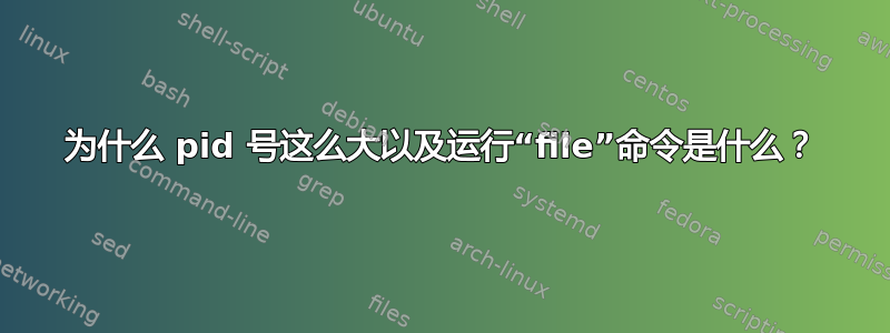 为什么 pid 号这么大以及运行“file”命令是什么？